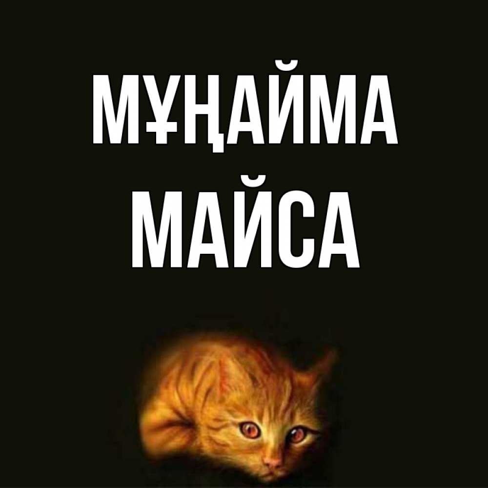 Күн сайын ашық хат с именем, МАЙСА Мұңайма лежащий кот в темноте Онлайн тегін жүктеп алу тілектері бар керемет карта 