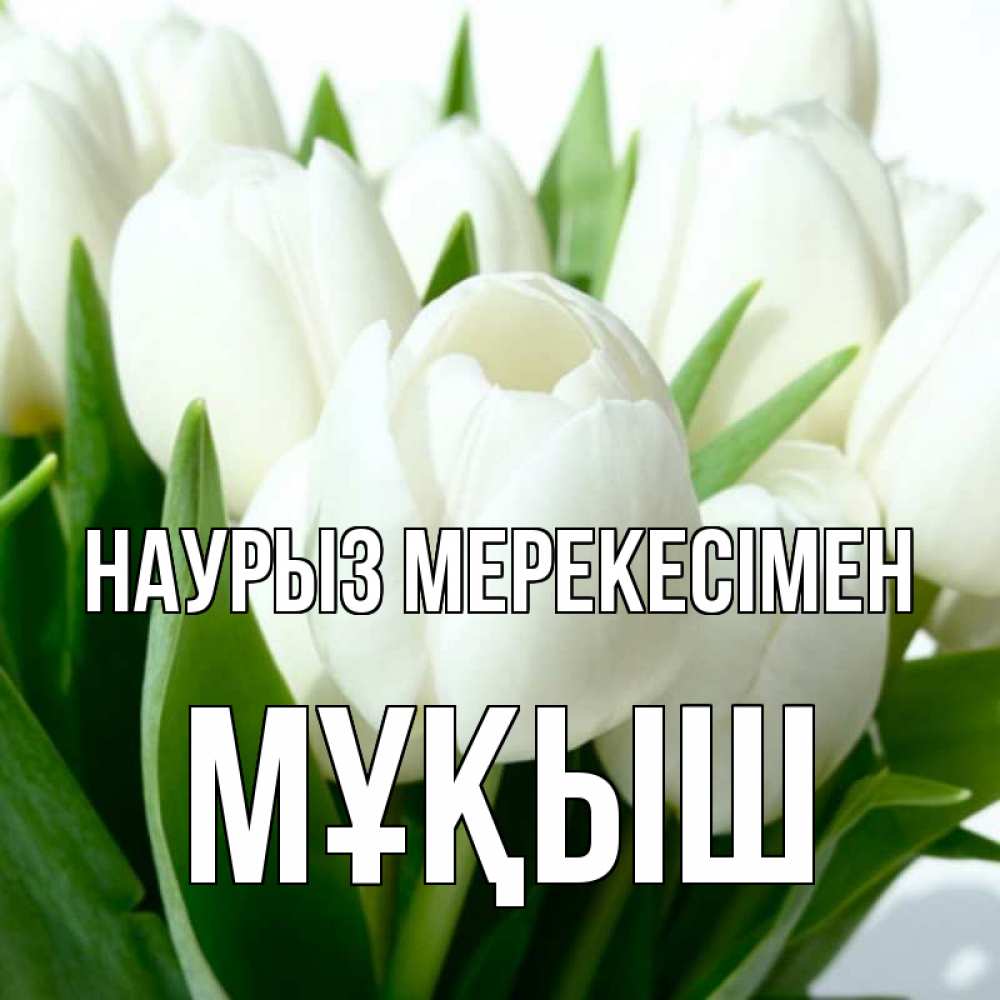 Күн сайын ашық хат с именем, Мұқыш Наурыз мерекесімен цветы Онлайн тегін жүктеп алу тілектері бар керемет карта 