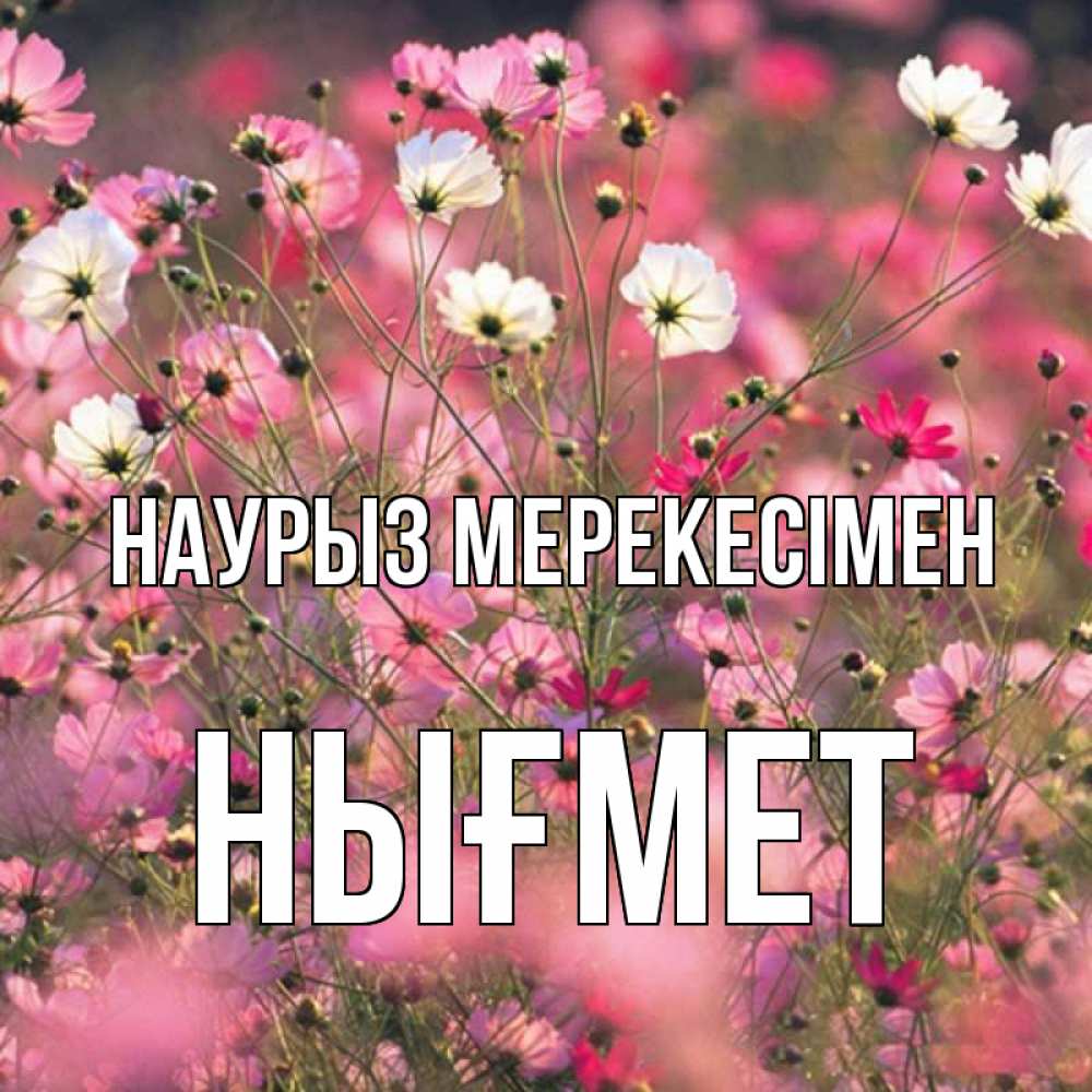 Күн сайын ашық хат с именем, НЫҒМЕТ Наурыз мерекесімен красиво 1 Онлайн тегін жүктеп алу тілектері бар керемет карта 