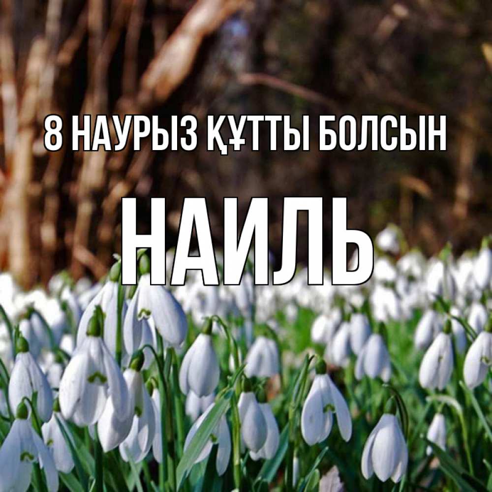 Күн сайын ашық хат с именем, Наиль 8 наурыз құтты болсын с подснежниками 1 Онлайн тегін жүктеп алу тілектері бар керемет карта 
