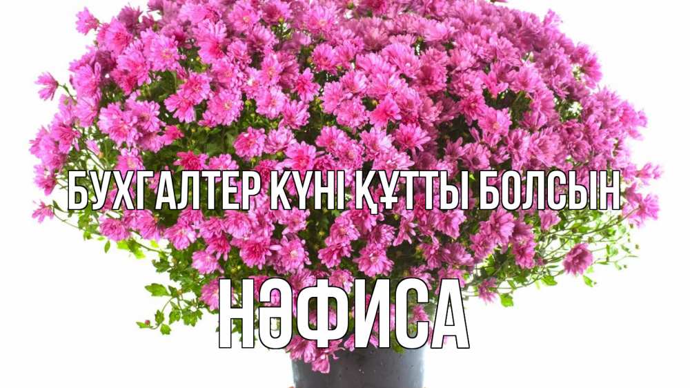 Күн сайын ашық хат с именем, НӘФИСА бухгалтер күні құтты болсын с днем бухгалтера Онлайн тегін жүктеп алу тілектері бар керемет карта 