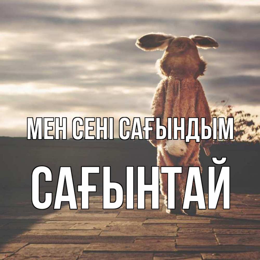 Күн сайын ашық хат с именем, Сағынтай Мен сені сағындым даже в костюме зайца Онлайн тегін жүктеп алу тілектері бар керемет карта 