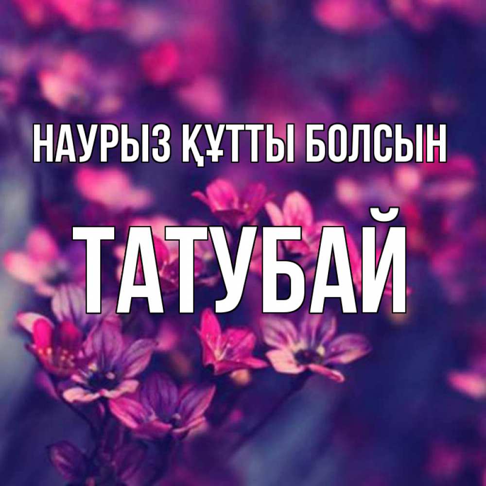 Күн сайын ашық хат с именем, ТАТУБАЙ Наурыз құтты болсын небольшие цветы 1 Онлайн тегін жүктеп алу тілектері бар керемет карта 