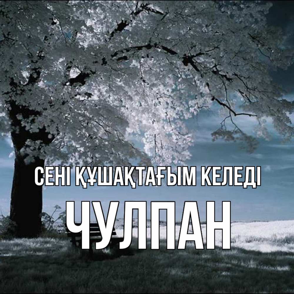 Күн сайын ашық хат с именем, Чулпан сені құшақтағым келеді дерево Онлайн тегін жүктеп алу тілектері бар керемет карта 
