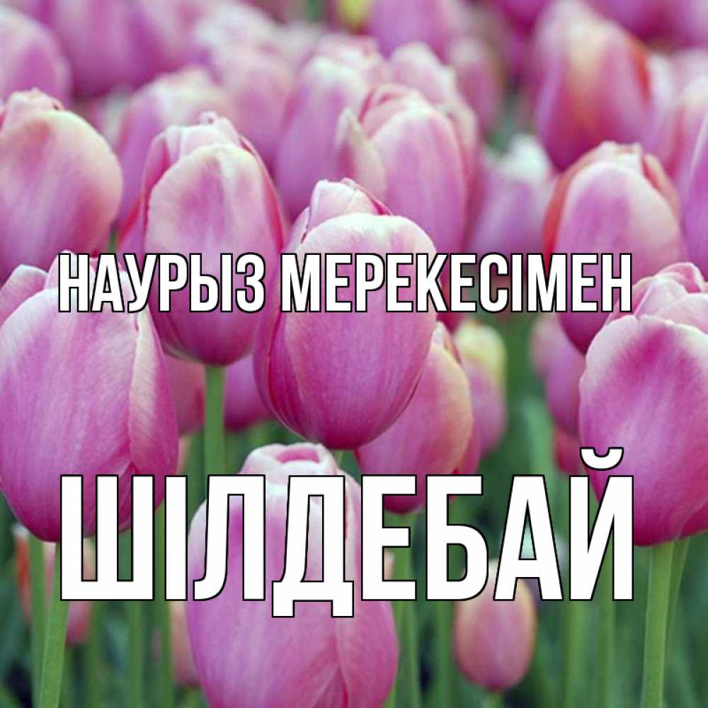 Күн сайын ашық хат с именем, ШІЛДЕБАЙ Наурыз мерекесімен праздник весны наурыз 69 Онлайн тегін жүктеп алу тілектері бар керемет карта 