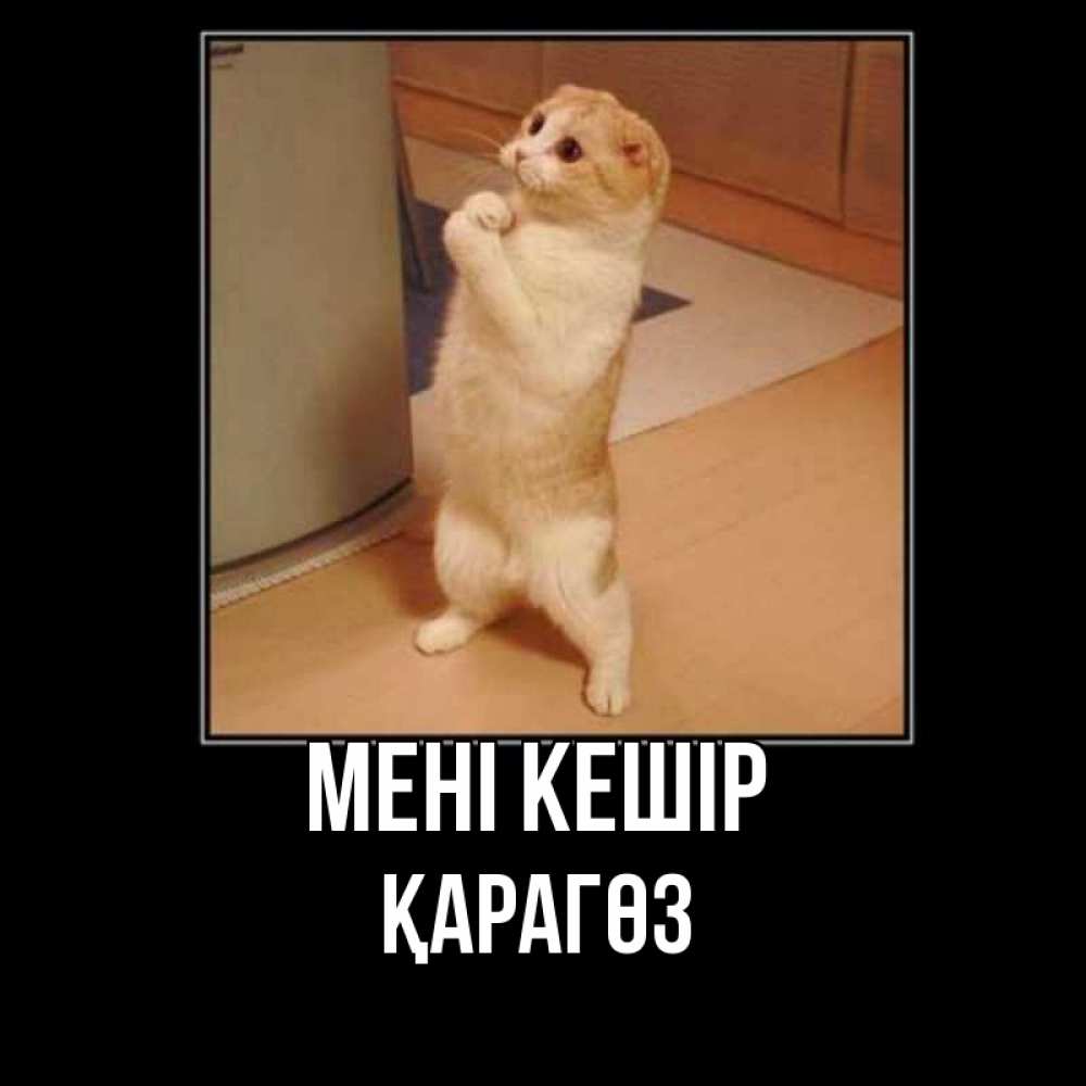 Күн сайын ашық хат с именем, ҚАРАГӨЗ Мені кешір открытка с милым несчастным котиком просящим прощения Онлайн тегін жүктеп алу тілектері бар керемет карта 