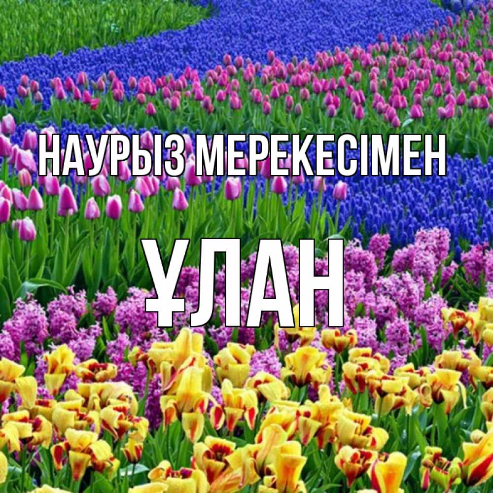 Күн сайын ашық хат с именем, ҰЛАН Наурыз мерекесімен цветы Онлайн тегін жүктеп алу тілектері бар керемет карта 