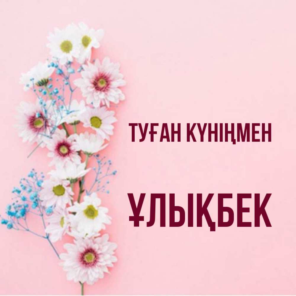 Күн сайын ашық хат с именем, ҰЛЫҚБЕК Туған күніңмен Родная моя с днем рождения тебя картинка с цветами белыми и голубыми Онлайн тегін жүктеп алу тілектері бар керемет карта 