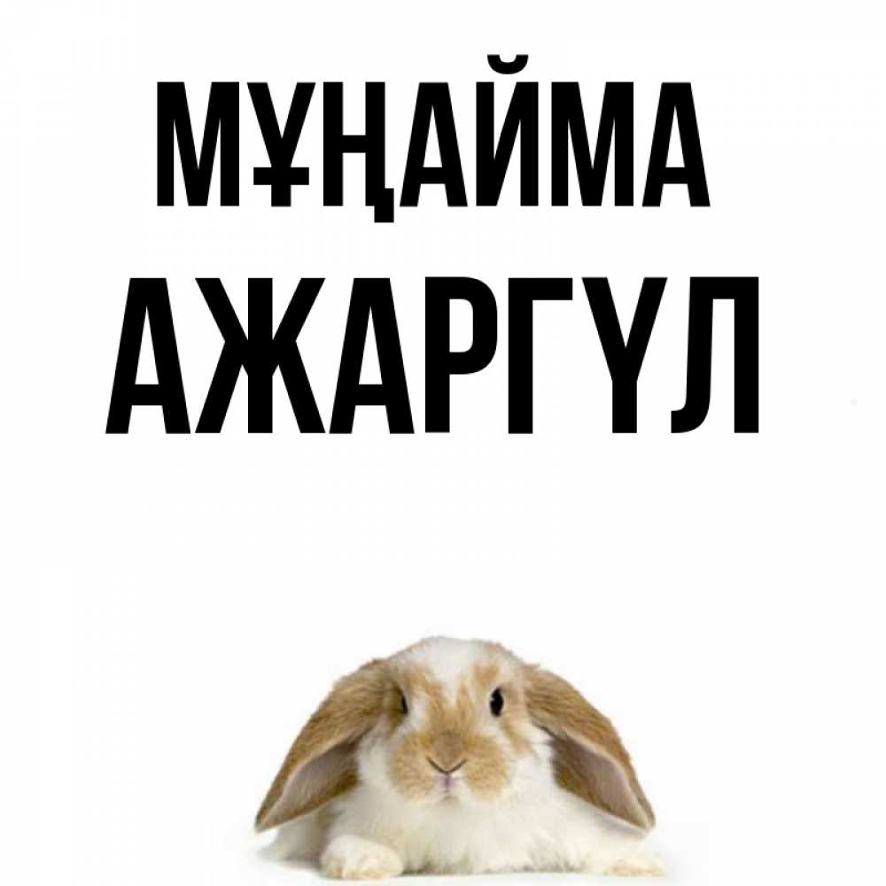 Күн сайын ашық хат с именем, АЖАРГҮЛ Мұңайма коричнево белый заяц с большими ушками Онлайн тегін жүктеп алу тілектері бар керемет карта 