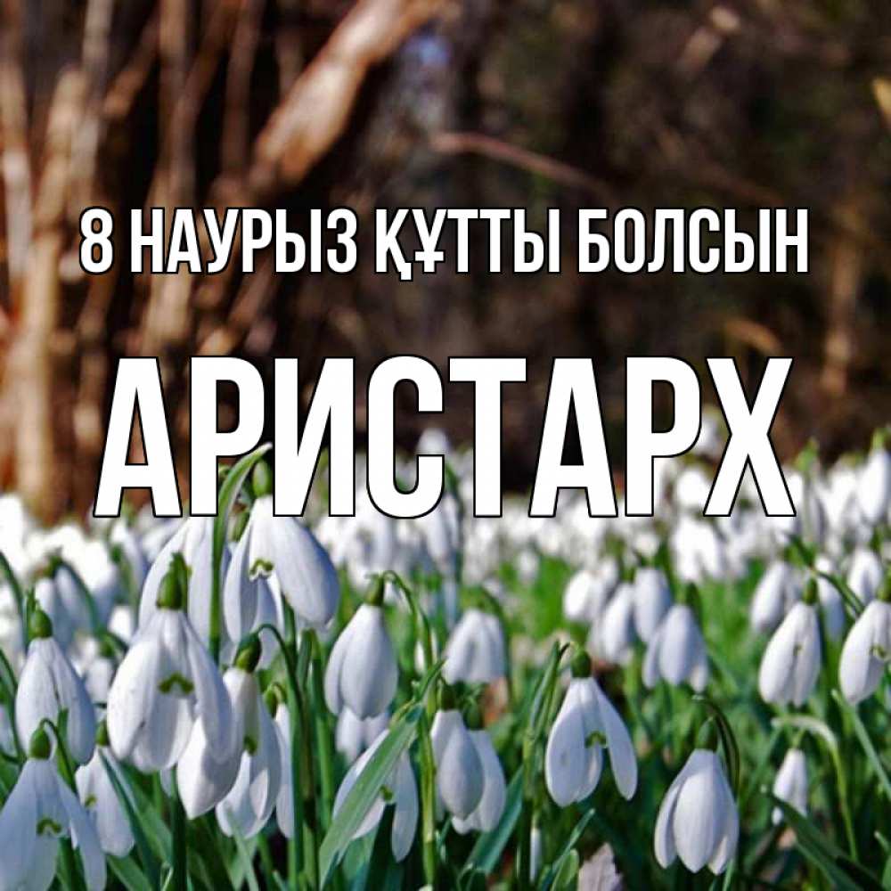 Күн сайын ашық хат с именем, Аристарх 8 наурыз құтты болсын с подснежниками 1 Онлайн тегін жүктеп алу тілектері бар керемет карта 