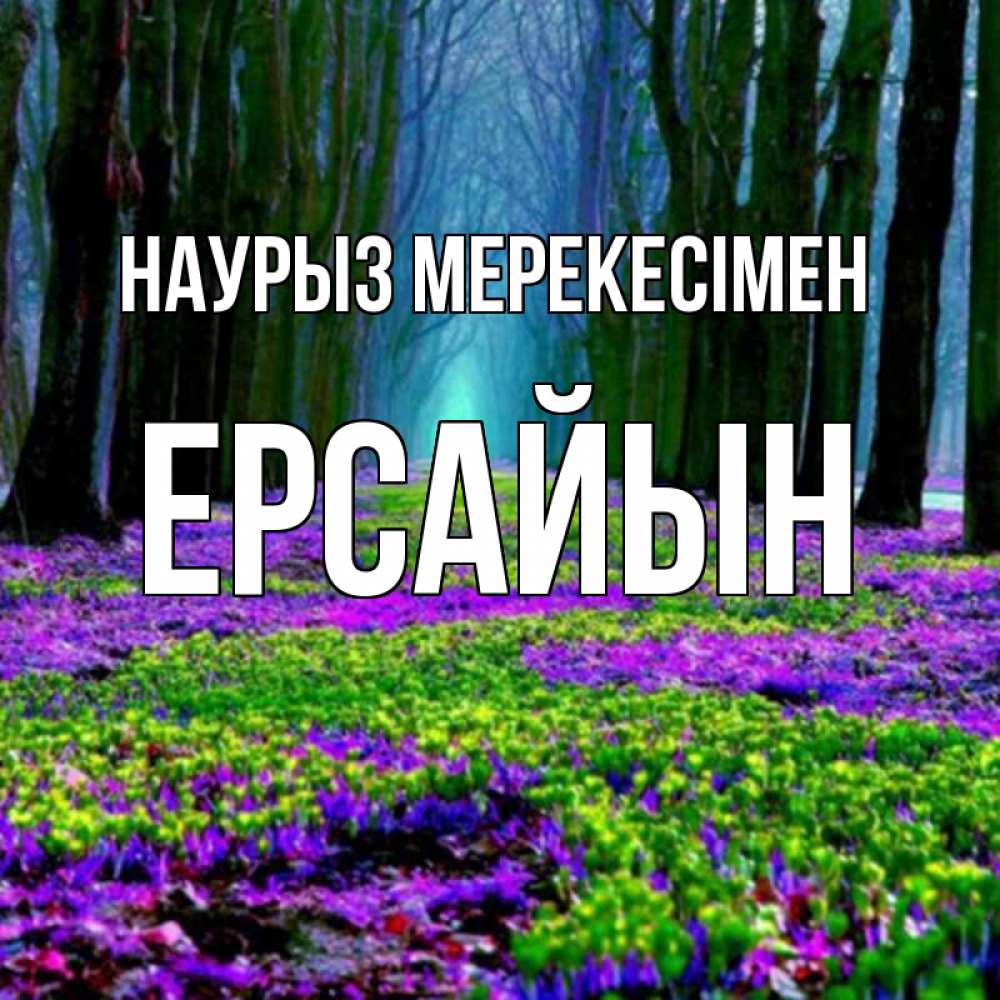 Күн сайын ашық хат с именем, Ерсайын Наурыз мерекесімен фиолетовые цветы в лесу 1 Онлайн тегін жүктеп алу тілектері бар керемет карта 