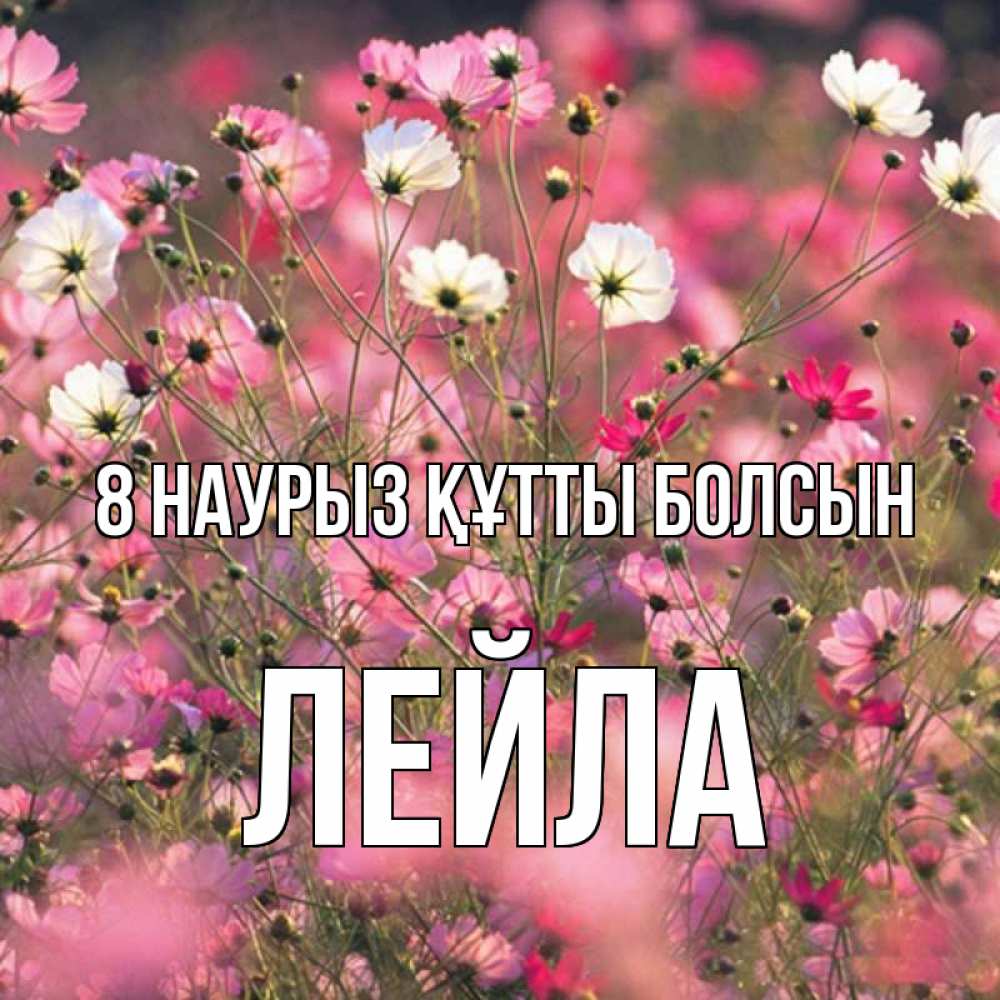 Күн сайын ашық хат с именем, Лейла 8 наурыз құтты болсын красиво 1 Онлайн тегін жүктеп алу тілектері бар керемет карта 