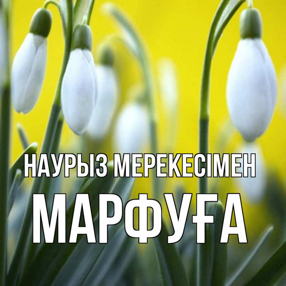 Күн сайын ашық хат с именем, МАРФУҒА Наурыз мерекесімен весенние цветы Онлайн тегін жүктеп алу тілектері бар керемет карта 