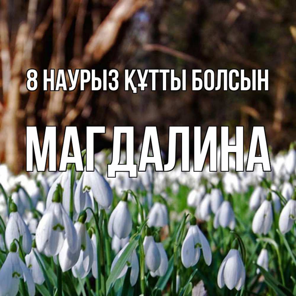 Күн сайын ашық хат с именем, Магдалина 8 наурыз құтты болсын с подснежниками 1 Онлайн тегін жүктеп алу тілектері бар керемет карта 