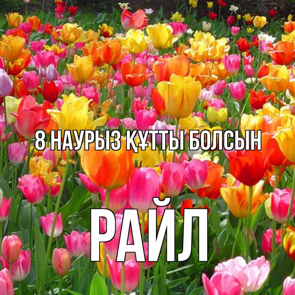 Күн сайын ашық хат с именем, РАЙЛ 8 наурыз құтты болсын на международный женский день Онлайн тегін жүктеп алу тілектері бар керемет карта 
