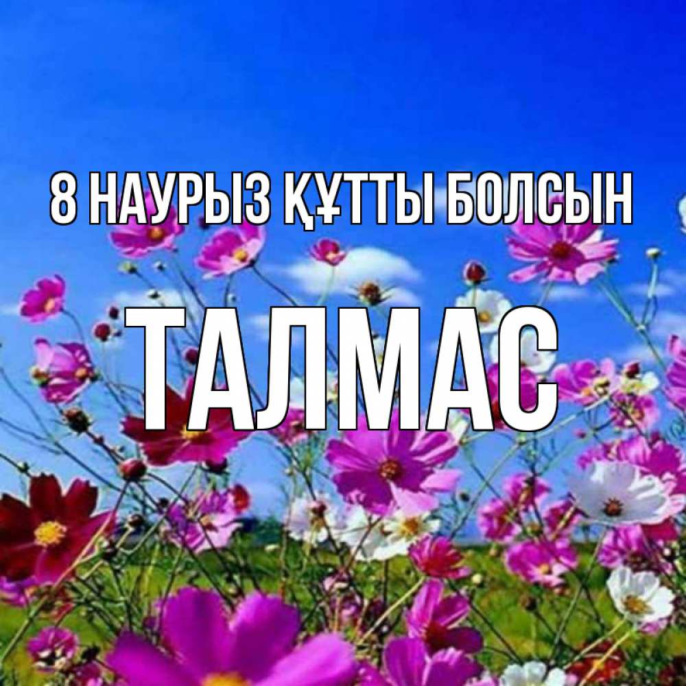 Күн сайын ашық хат с именем, ТАЛМАС 8 наурыз құтты болсын цветы Онлайн тегін жүктеп алу тілектері бар керемет карта 