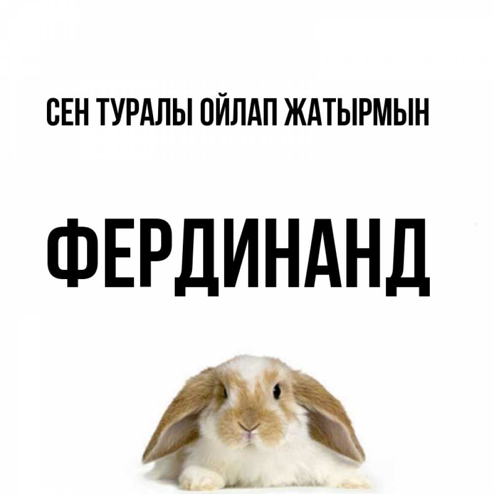 Күн сайын ашық хат с именем, Фердинанд Сен туралы ойлап жатырмын подписать своими руками онлайн Онлайн тегін жүктеп алу тілектері бар керемет карта 