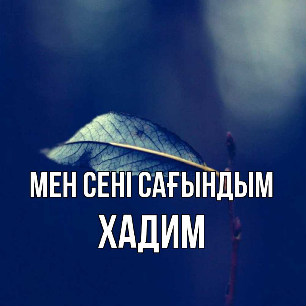Күн сайын ашық хат с именем, ХАДИМ Мен сені сағындым одна ветка 1 Онлайн тегін жүктеп алу тілектері бар керемет карта 