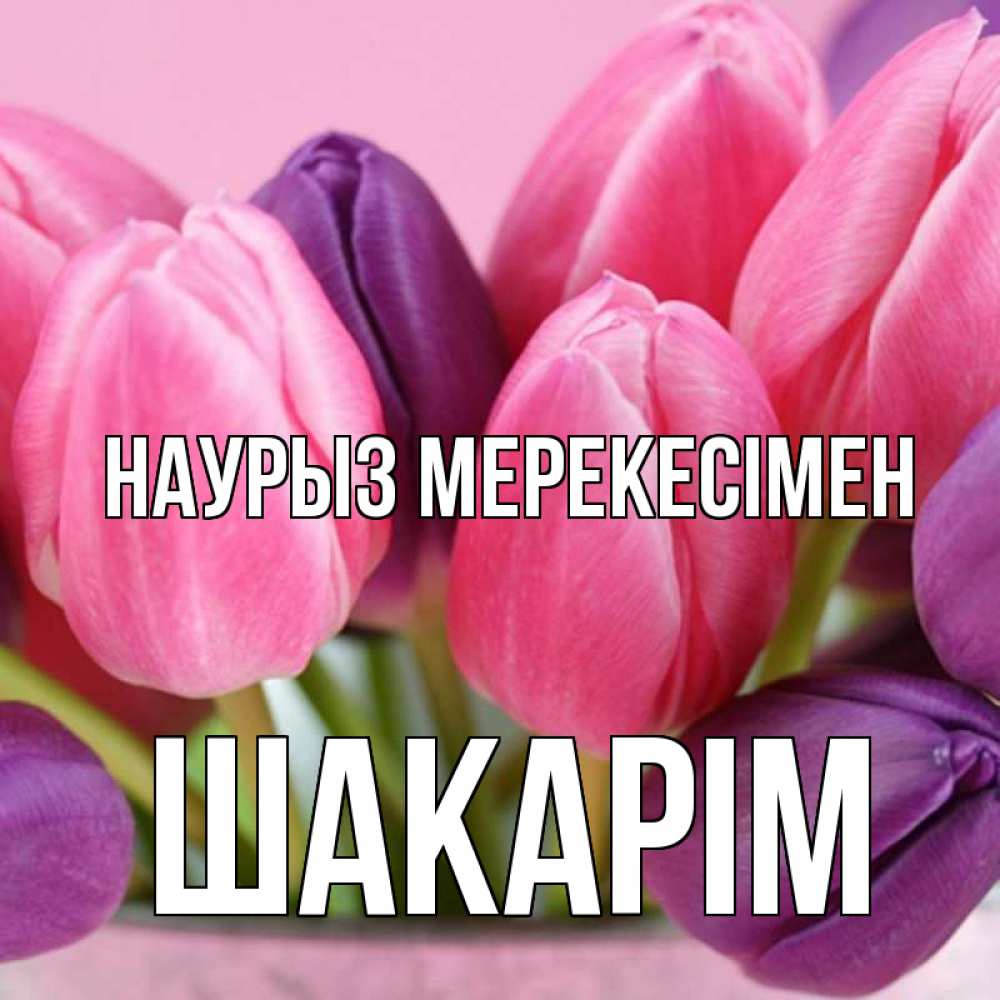 Күн сайын ашық хат с именем, ШАКАРІМ Наурыз мерекесімен маме 1 Онлайн тегін жүктеп алу тілектері бар керемет карта 