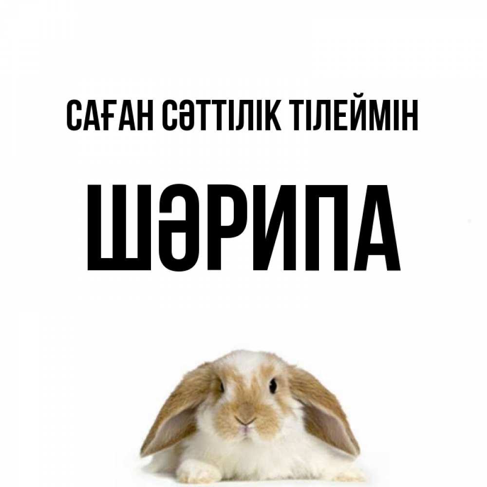 Күн сайын ашық хат с именем, ШӘРИПА Саған сәттілік тілеймін открытки с произвольным текстом который можно вставить в открытку и создать ее самостоятельно бесплатно онлайн Онлайн тегін жүктеп алу тілектері бар керемет карта 