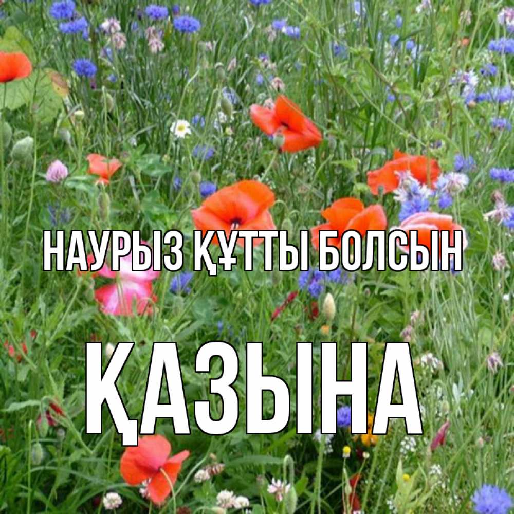 Күн сайын ашық хат с именем, ҚАЗЫНА Наурыз құтты болсын наурыз  4 Онлайн тегін жүктеп алу тілектері бар керемет карта 