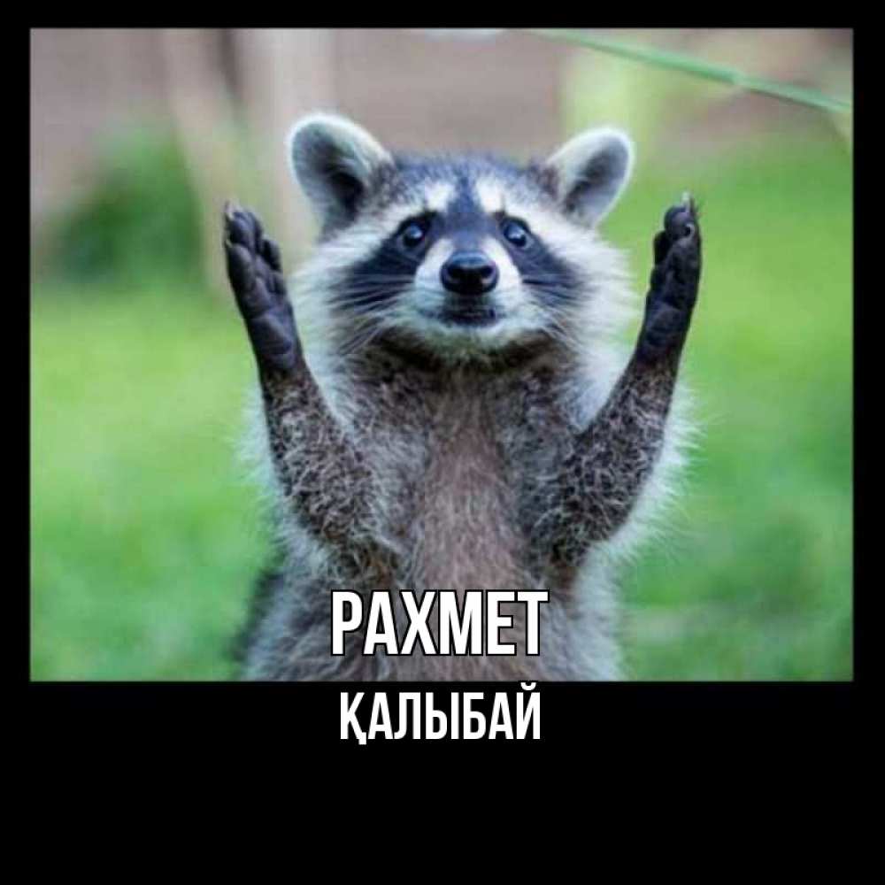 Күн сайын ашық хат с именем, Қалыбай рахмет милые животные Онлайн тегін жүктеп алу тілектері бар керемет карта 
