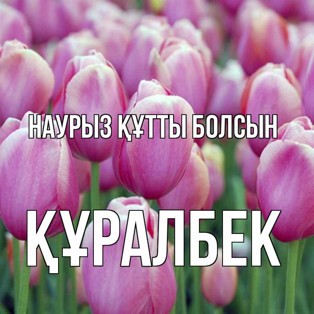 Күн сайын ашық хат с именем, ҚҰРАЛБЕК Наурыз құтты болсын на наурыз  день 3 Онлайн тегін жүктеп алу тілектері бар керемет карта 