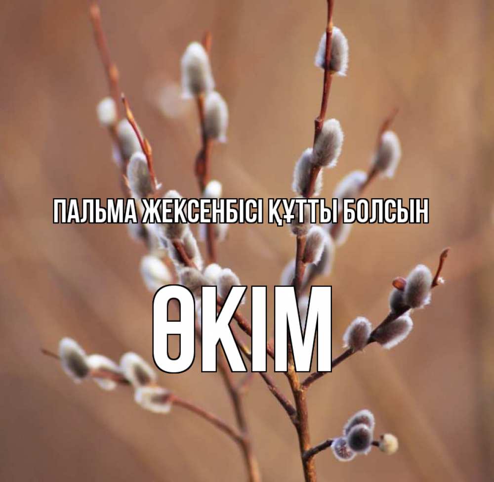 Күн сайын ашық хат с именем, ӨКІМ Пальма жексенбісі құтты болсын верба Онлайн тегін жүктеп алу тілектері бар керемет карта 