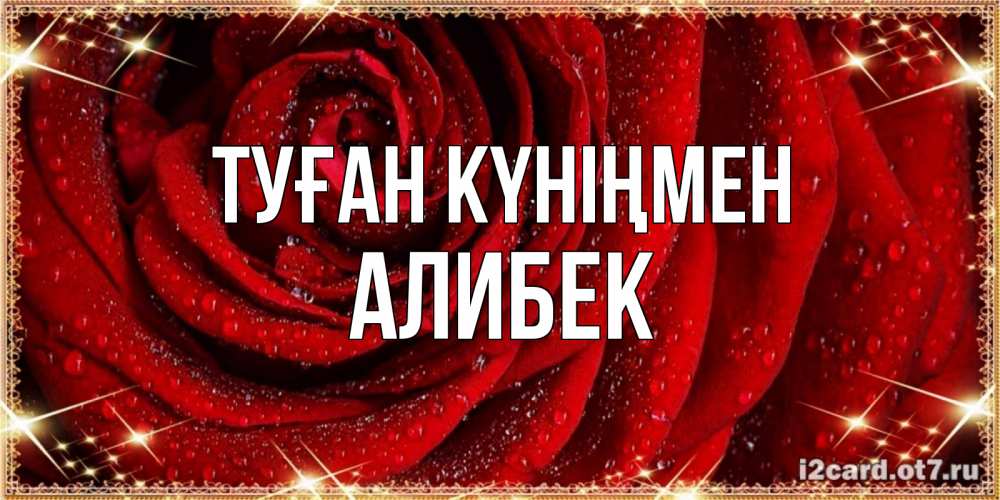 Күн сайын ашық хат с именем, Алибек Туған күніңмен роса на розе блестящая в лучах солнца Онлайн тегін жүктеп алу тілектері бар керемет карта 
