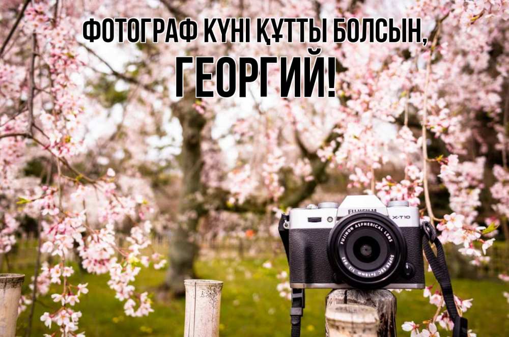Күн сайын ашық хат с именем, Георгий Фотограф күні құтты болсын сирень с днем фотографа, фотоаппарат Онлайн тегін жүктеп алу тілектері бар керемет карта 