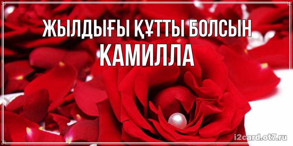 Күн сайын ашық хат с именем, Камилла Жылдығы құтты болсын роза с жемчужиной на открытке для любимых Онлайн тегін жүктеп алу тілектері бар керемет карта 