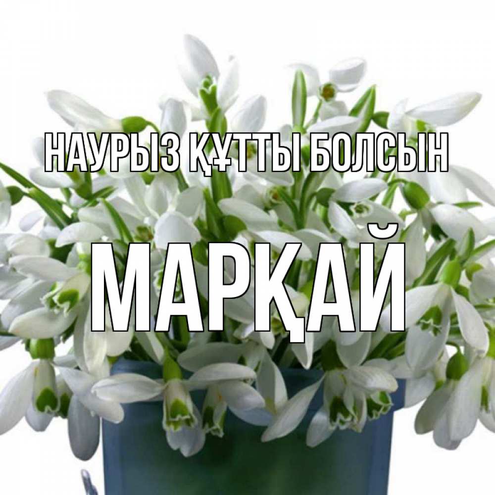 Күн сайын ашық хат с именем, МАРҚАЙ Наурыз құтты болсын цветы к наурызу Онлайн тегін жүктеп алу тілектері бар керемет карта 