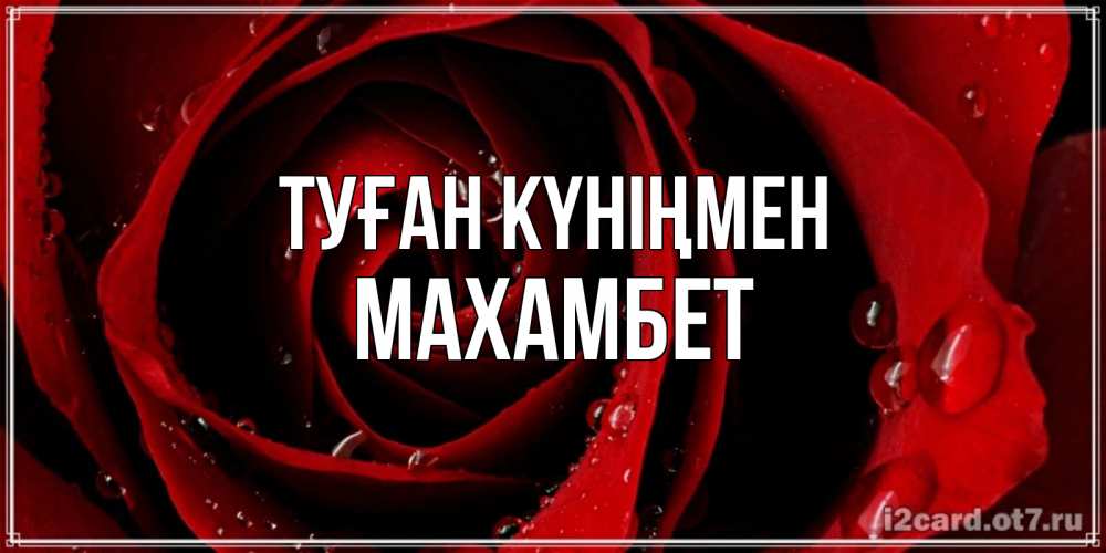 Күн сайын ашық хат с именем, МАХАМБЕТ Туған күніңмен крупная бордовая роза Онлайн тегін жүктеп алу тілектері бар керемет карта 