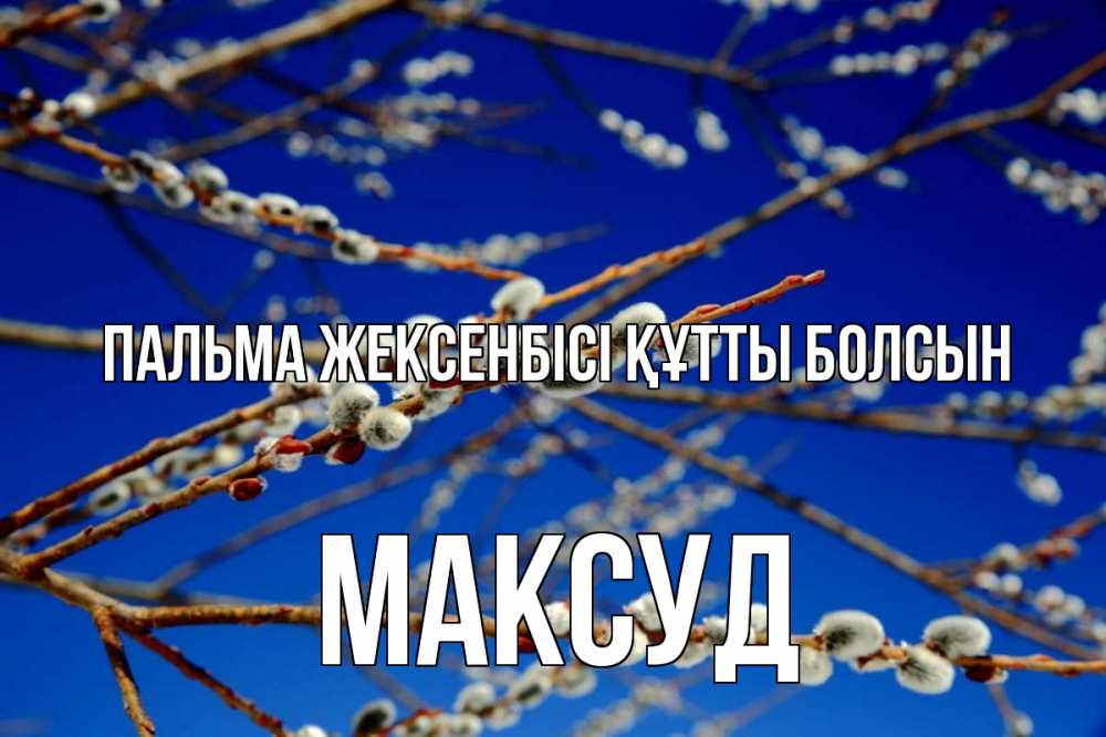Күн сайын ашық хат с именем, Максуд Пальма жексенбісі құтты болсын верба Онлайн тегін жүктеп алу тілектері бар керемет карта 