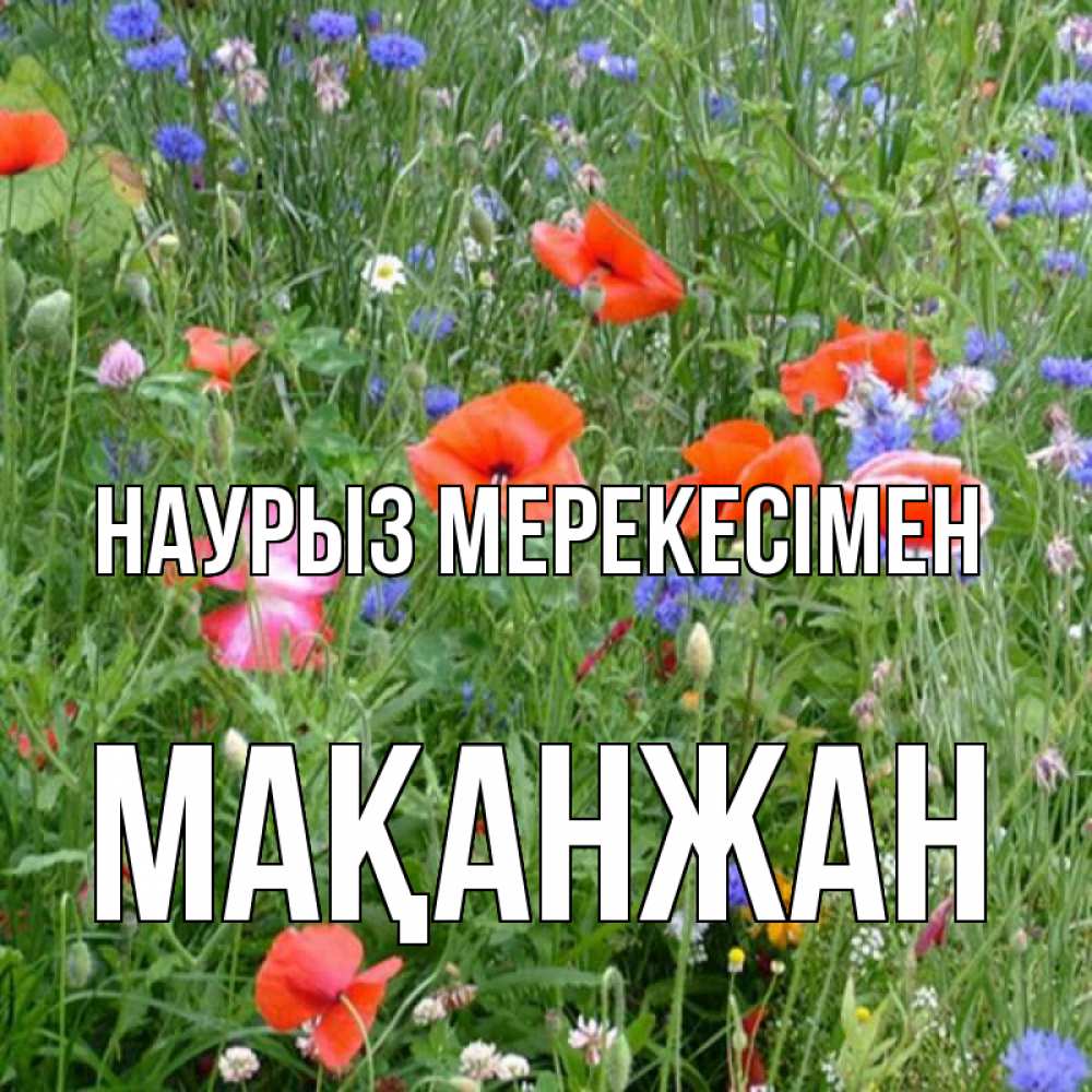 Күн сайын ашық хат с именем, Мақанжан Наурыз мерекесімен праздник весны наурыз супер открытка Онлайн тегін жүктеп алу тілектері бар керемет карта 