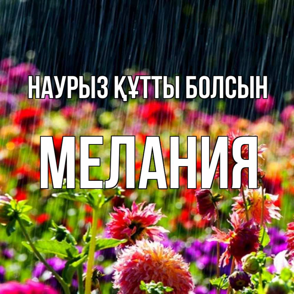 Күн сайын ашық хат с именем, Мелания Наурыз құтты болсын цветы под дождиком к наурызу Онлайн тегін жүктеп алу тілектері бар керемет карта 