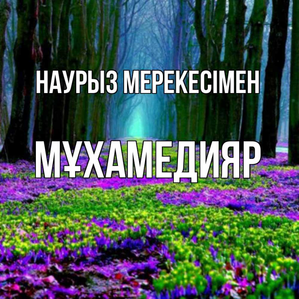 Күн сайын ашық хат с именем, МҰХАМЕДИЯР Наурыз мерекесімен фиолетовые цветы в лесу 1 Онлайн тегін жүктеп алу тілектері бар керемет карта 
