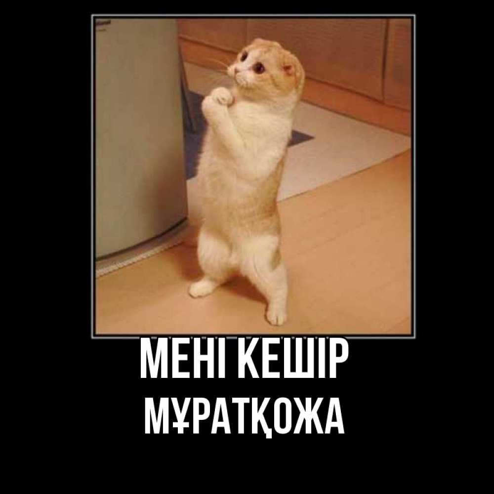 Күн сайын ашық хат с именем, Мұратқожа Мені кешір открытка с милым несчастным котиком просящим прощения Онлайн тегін жүктеп алу тілектері бар керемет карта 
