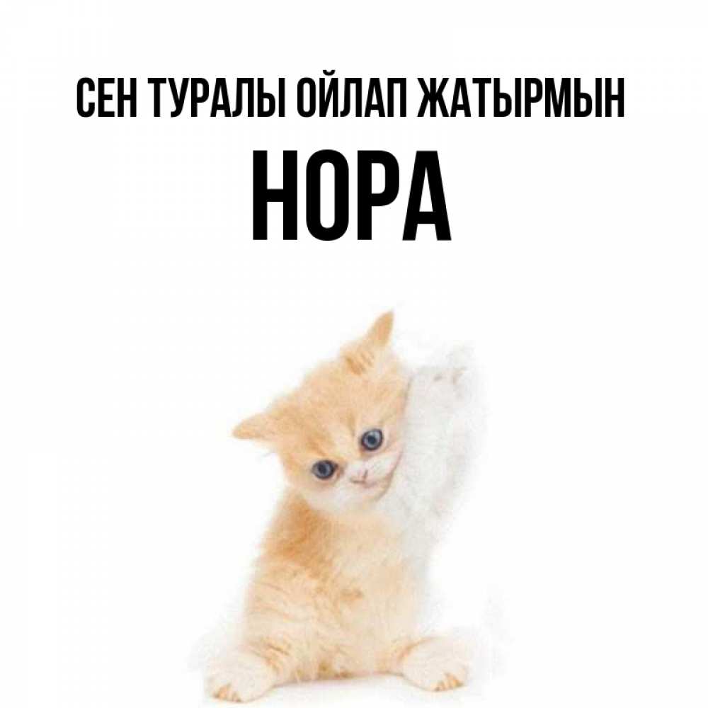 Күн сайын ашық хат с именем, Нора Сен туралы ойлап жатырмын зверушки и милота Онлайн тегін жүктеп алу тілектері бар керемет карта 