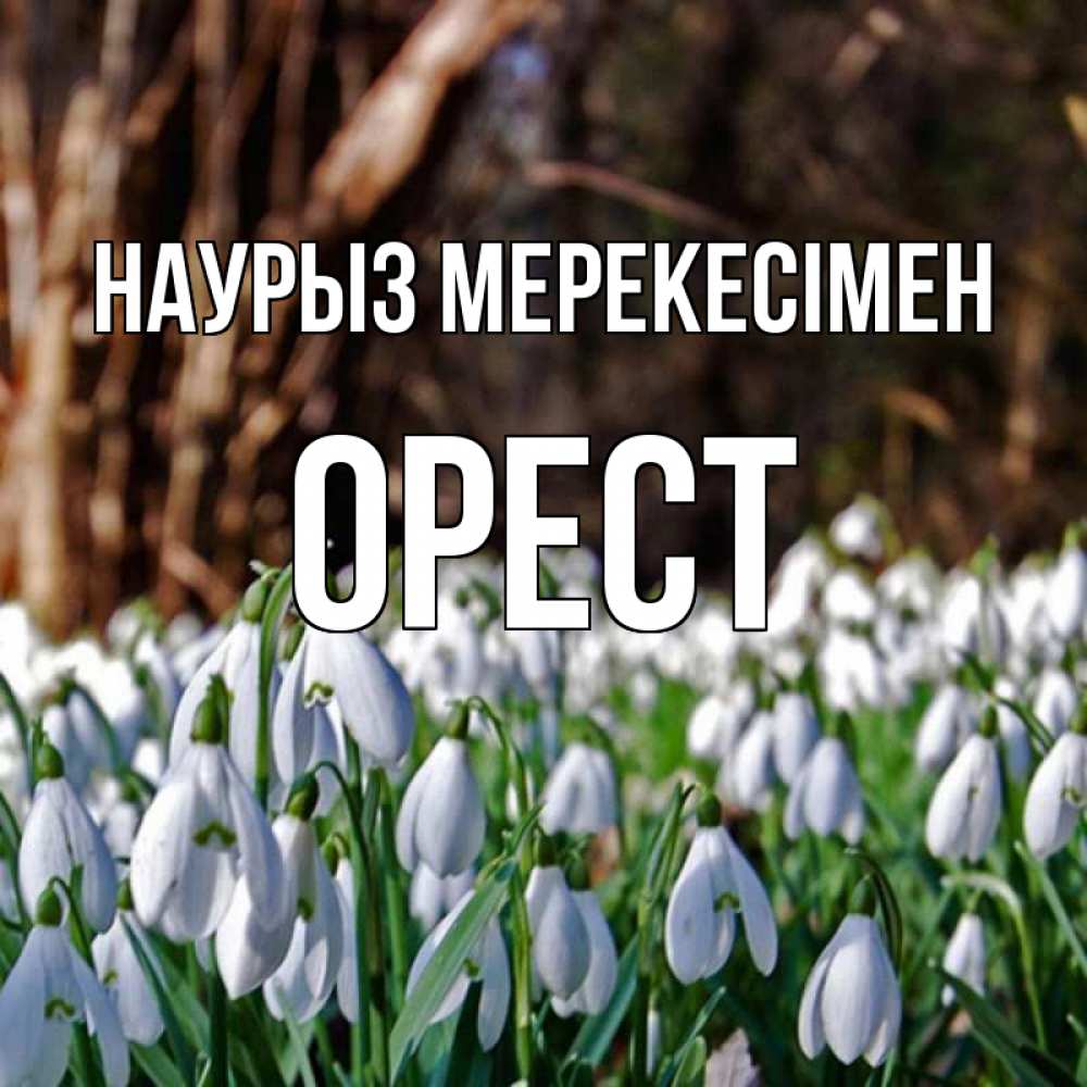 Күн сайын ашық хат с именем, Орест Наурыз мерекесімен с подснежниками 1 Онлайн тегін жүктеп алу тілектері бар керемет карта 