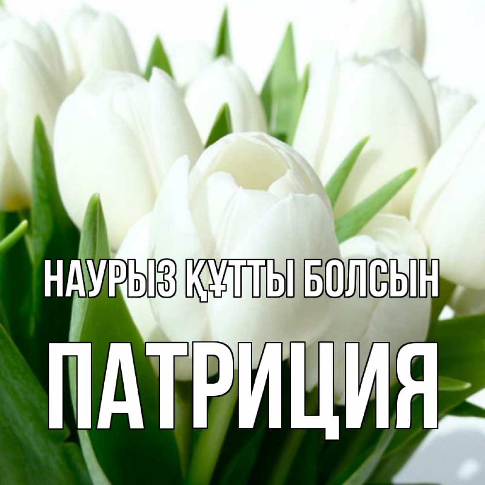 Күн сайын ашық хат с именем, Патриция Наурыз құтты болсын цветы Онлайн тегін жүктеп алу тілектері бар керемет карта 