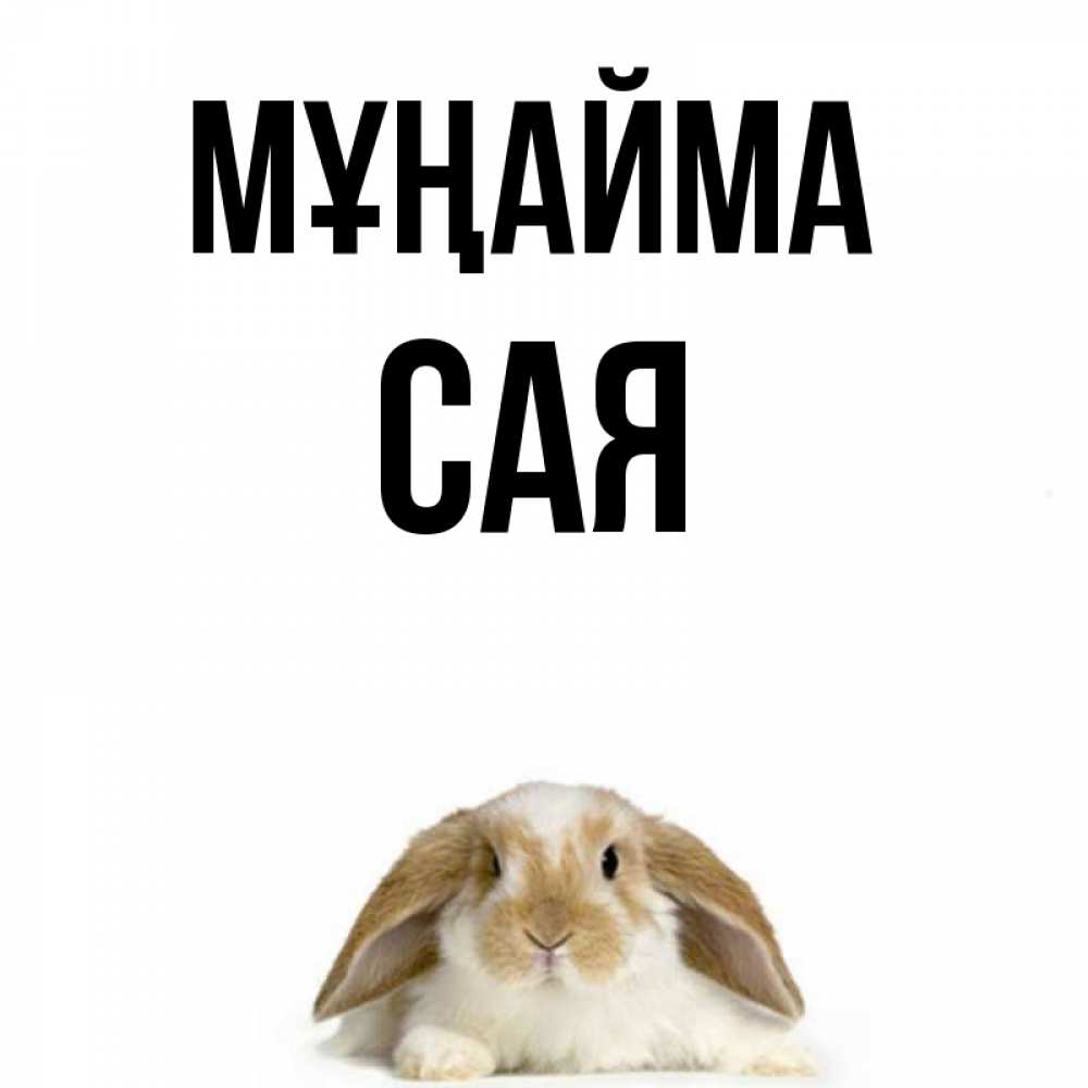 Күн сайын ашық хат с именем, САЯ Мұңайма коричнево белый заяц с большими ушками Онлайн тегін жүктеп алу тілектері бар керемет карта 