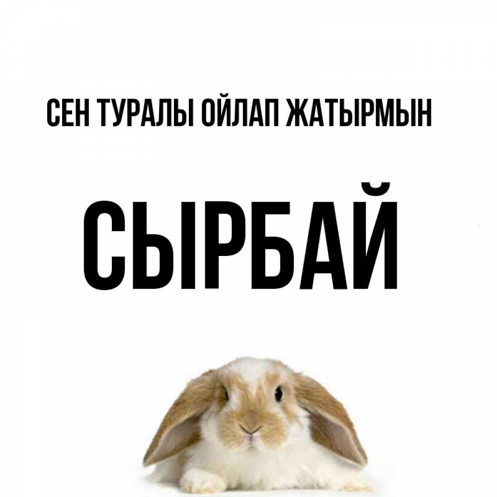 Күн сайын ашық хат с именем, СЫРБАЙ Сен туралы ойлап жатырмын подписать своими руками онлайн Онлайн тегін жүктеп алу тілектері бар керемет карта 