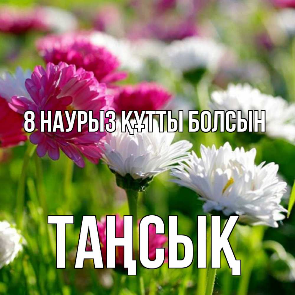 Күн сайын ашық хат с именем, ТАҢСЫҚ 8 наурыз құтты болсын международный женский день 1 Онлайн тегін жүктеп алу тілектері бар керемет карта 