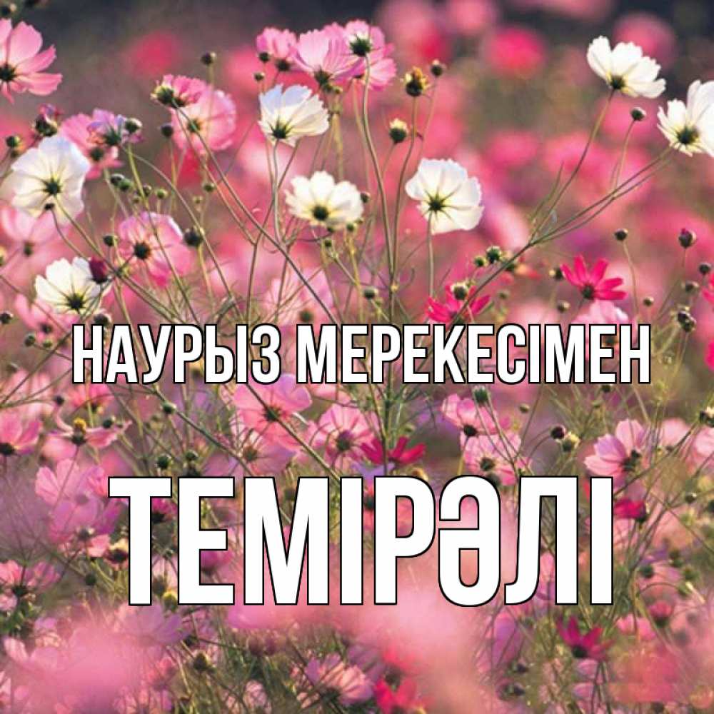 Күн сайын ашық хат с именем, ТЕМІРӘЛІ Наурыз мерекесімен красиво 1 Онлайн тегін жүктеп алу тілектері бар керемет карта 
