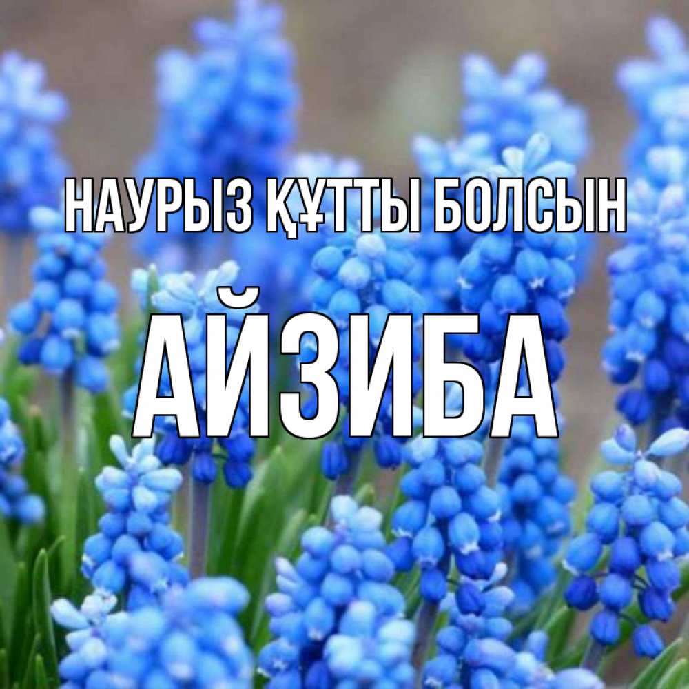 Күн сайын ашық хат с именем, АЙЗИБА Наурыз құтты болсын Поздравительная открытка для женщин с цветами на праздничную дату Онлайн тегін жүктеп алу тілектері бар керемет карта 