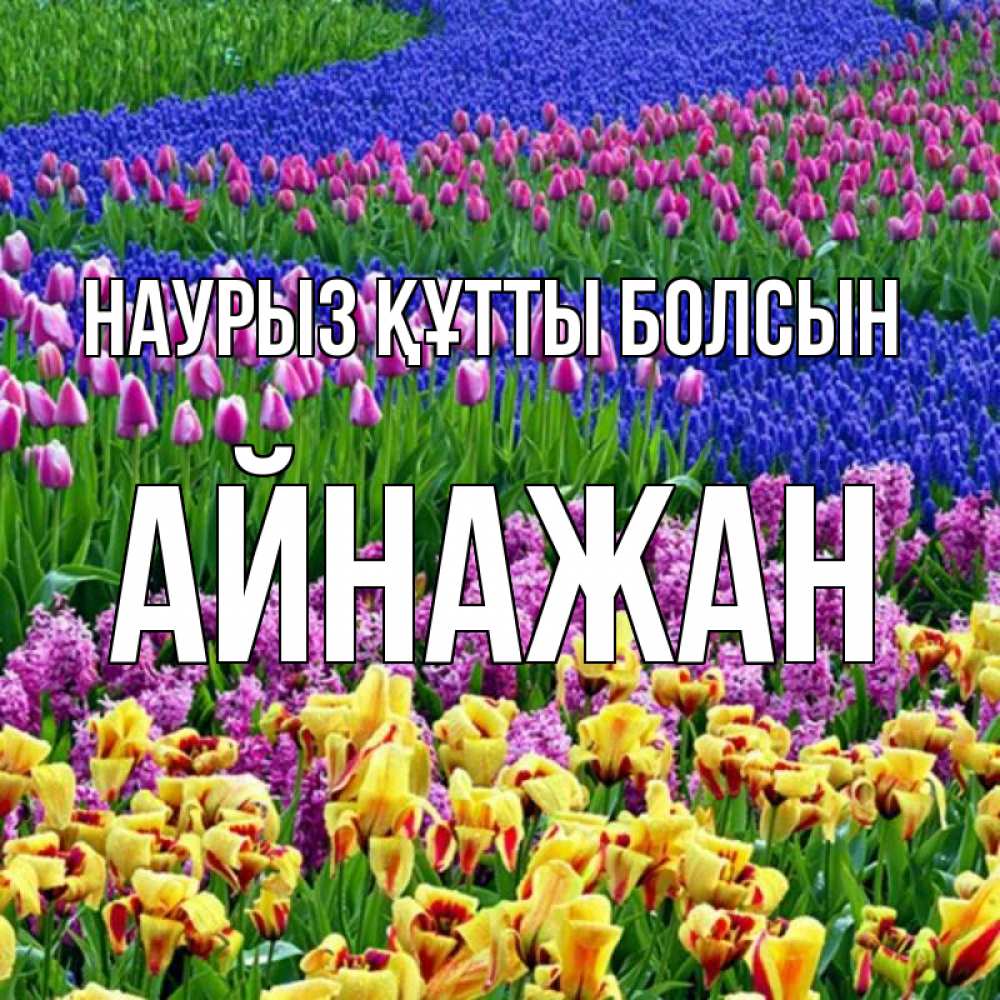 Күн сайын ашық хат с именем, Айнажан Наурыз құтты болсын цветы Онлайн тегін жүктеп алу тілектері бар керемет карта 