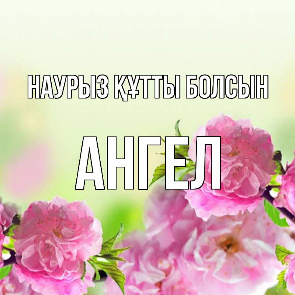 Күн сайын ашық хат с именем, Ангел Наурыз құтты болсын цветы Онлайн тегін жүктеп алу тілектері бар керемет карта 