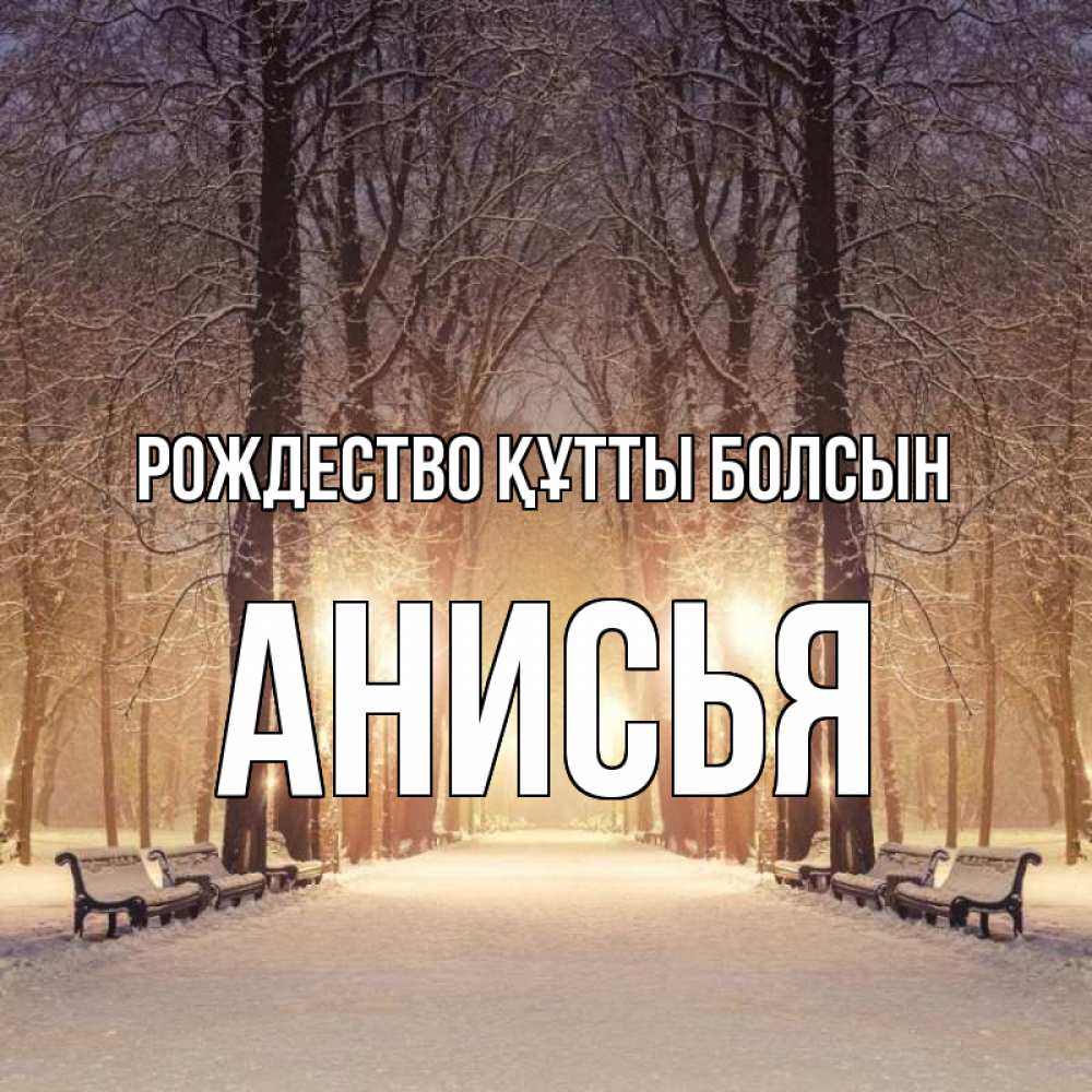 Күн сайын ашық хат с именем, Анисья Рождество құтты болсын зима, парк, фонарь, лес Онлайн тегін жүктеп алу тілектері бар керемет карта 