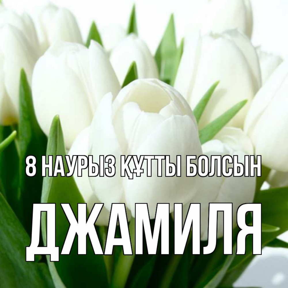 Күн сайын ашық хат с именем, Джамиля 8 наурыз құтты болсын цветы Онлайн тегін жүктеп алу тілектері бар керемет карта 